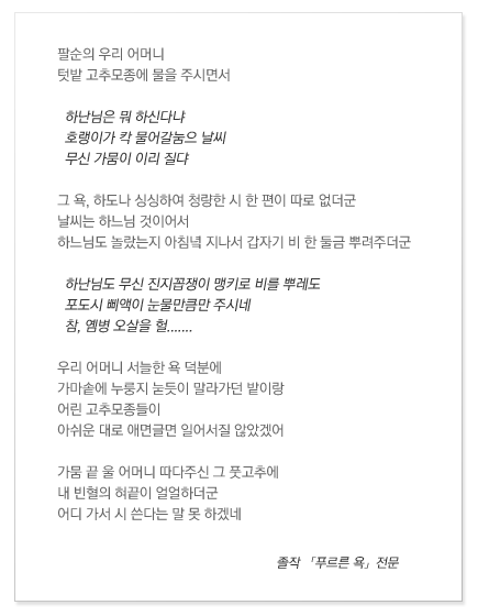 졸작 푸르른 욕 전문