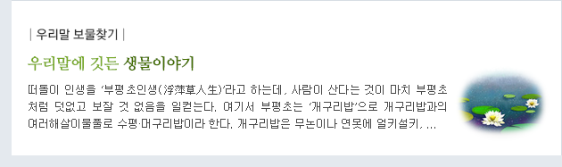 우리말 보물찾기